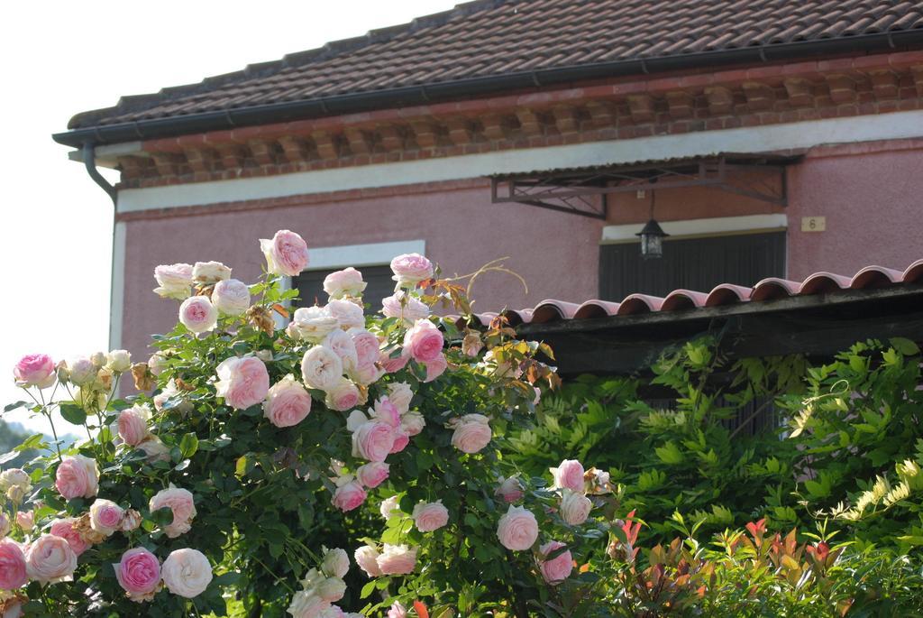 Cortazzone B&B La Ca Cita المظهر الخارجي الصورة